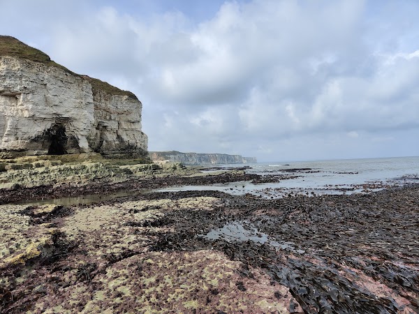 Flamborough Outer Headlands 1