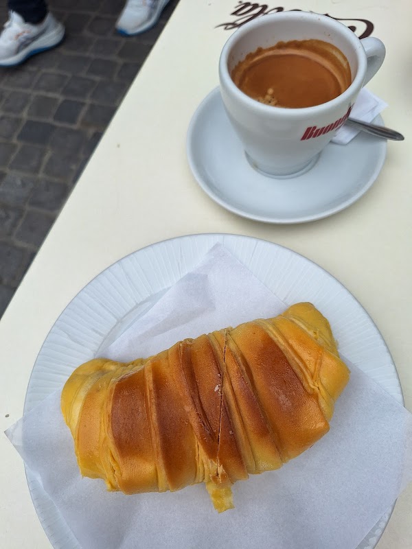 Flor de São Bento 2