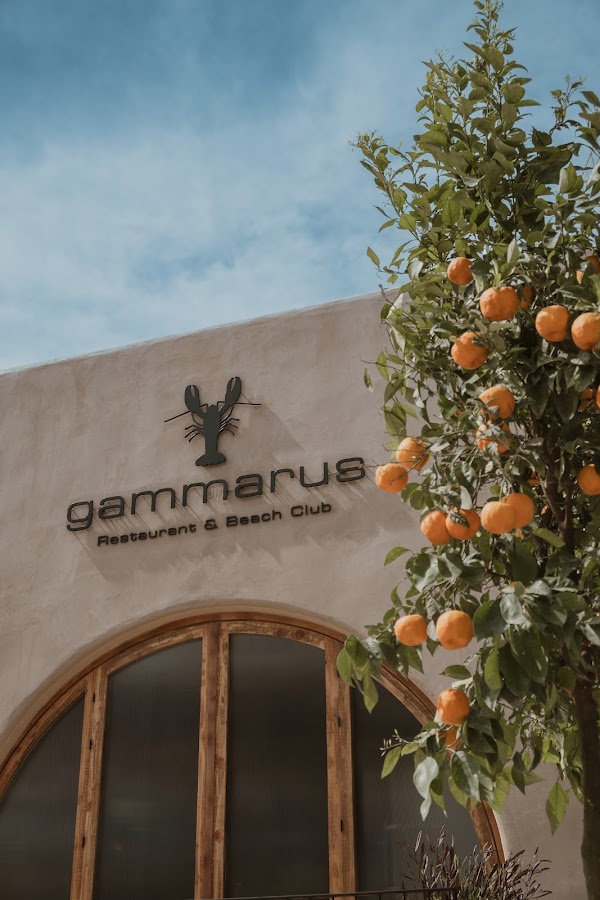 Gammarus Restaurant & Beach Club 1