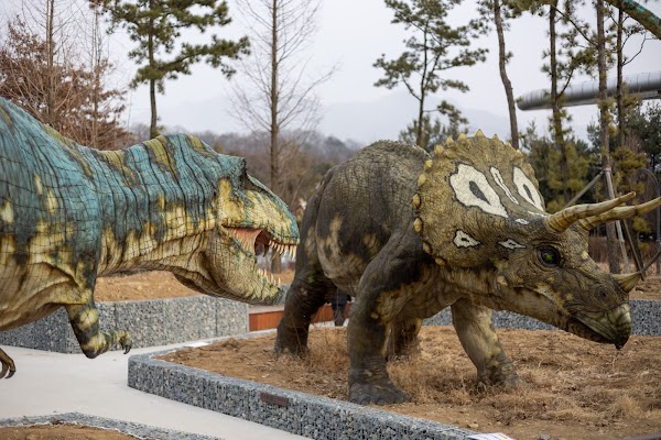 Gwacheon National Science Museum 3