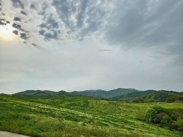 서산한우목장 웰빙산책로