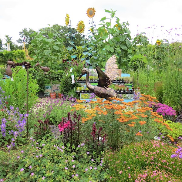 Camelia Botnar Garden Centre & Charity Shop 5