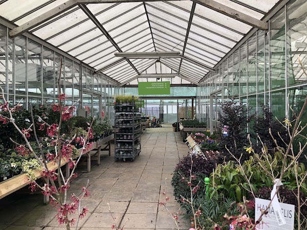 Camelia Botnar Garden Centre & Charity Shop 3