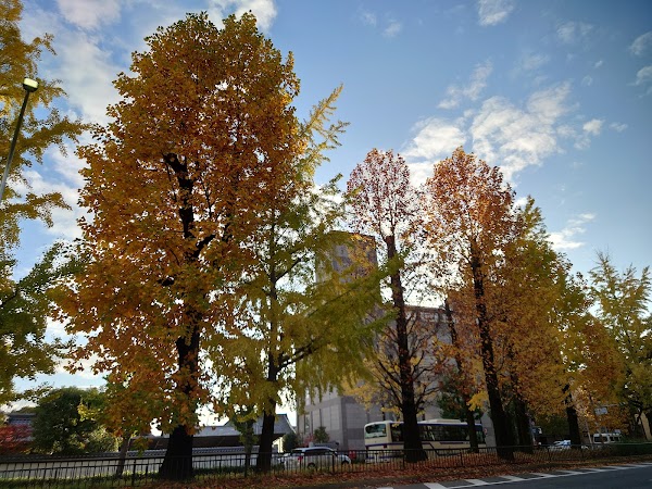 Horikawa-dori Street 4