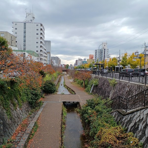 Horikawa-dori Street 3