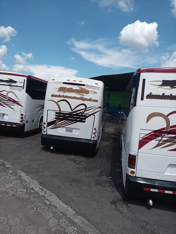 Terminal de Buses de Occidente