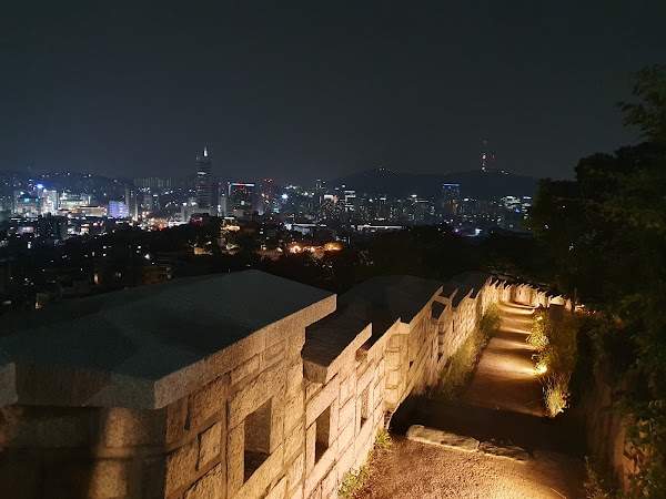 Cherry Blossom 🌸 14