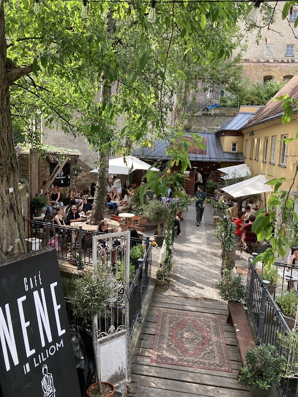 Café NENE 4