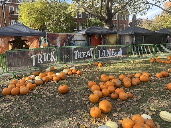 The London Pumpkin Patch