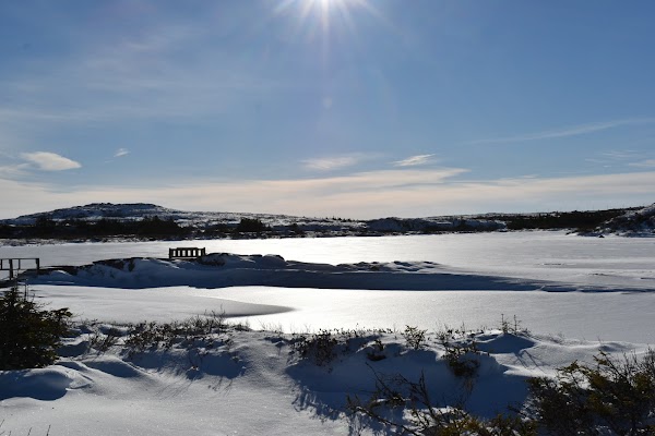 Baccalieu Island Interpretation Centre & Baccalieu View Walking Trail 4
