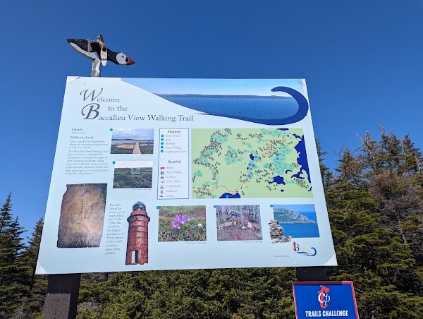 Baccalieu Island Interpretation Centre & Baccalieu View Walking Trail 2