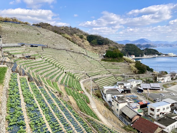 Japan 16