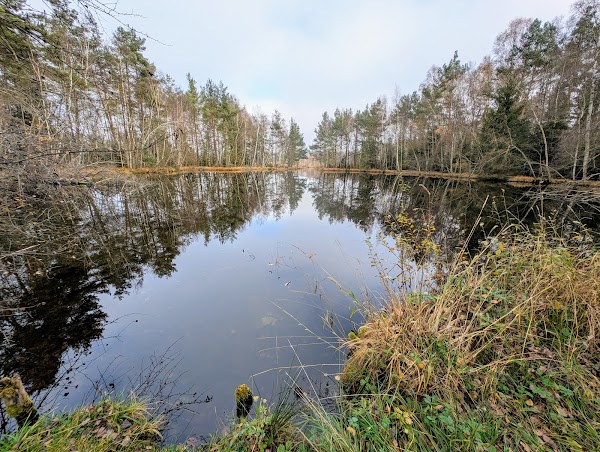 Schwenninger Moos 3