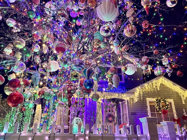 SC Christmas Tree Lane 1