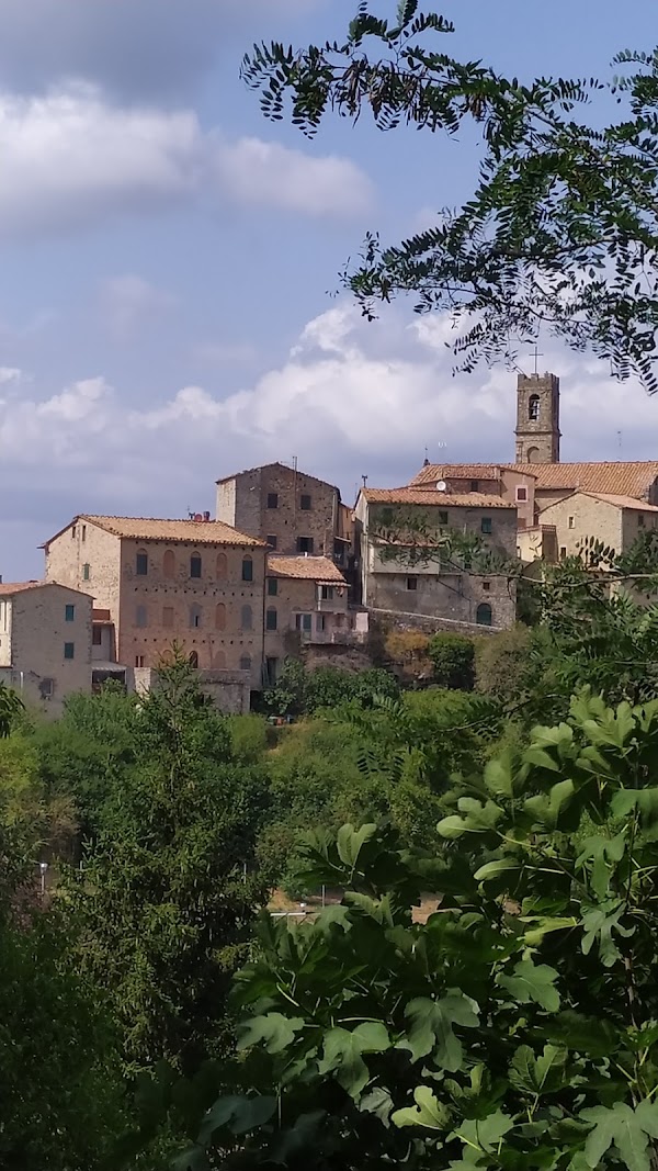 Sasso Pisano