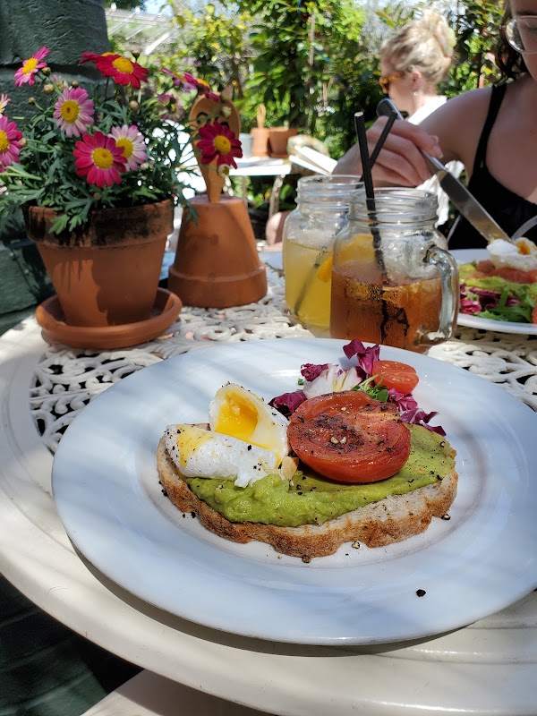 Clifton Nurseries Cafe 3