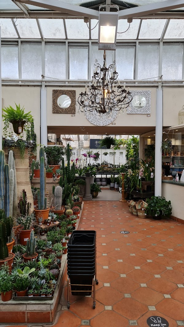 Clifton Nurseries