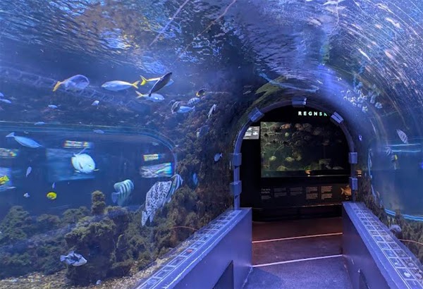 Akvariet i Bergen - The National Aquarium 5