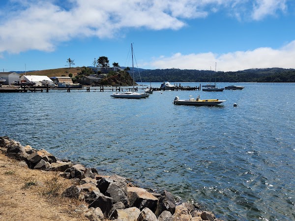 The Marshall Store 3