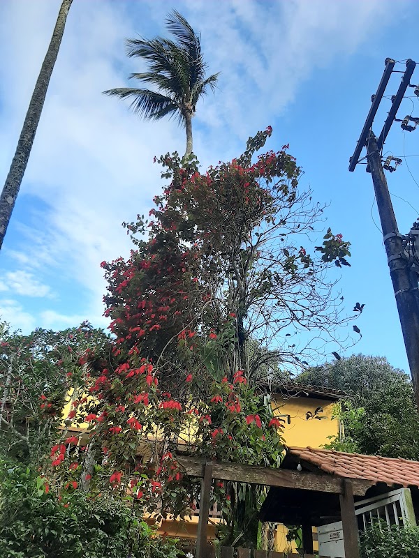 Vila do Abraão 4