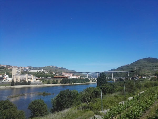 Peso da Régua 3