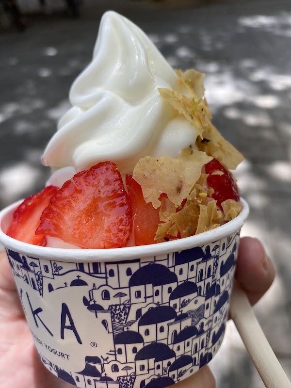 MYKA Greek Frozen Yogurt 4