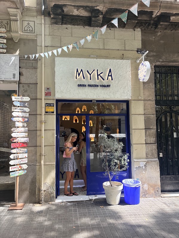 MYKA Greek Frozen Yogurt 2
