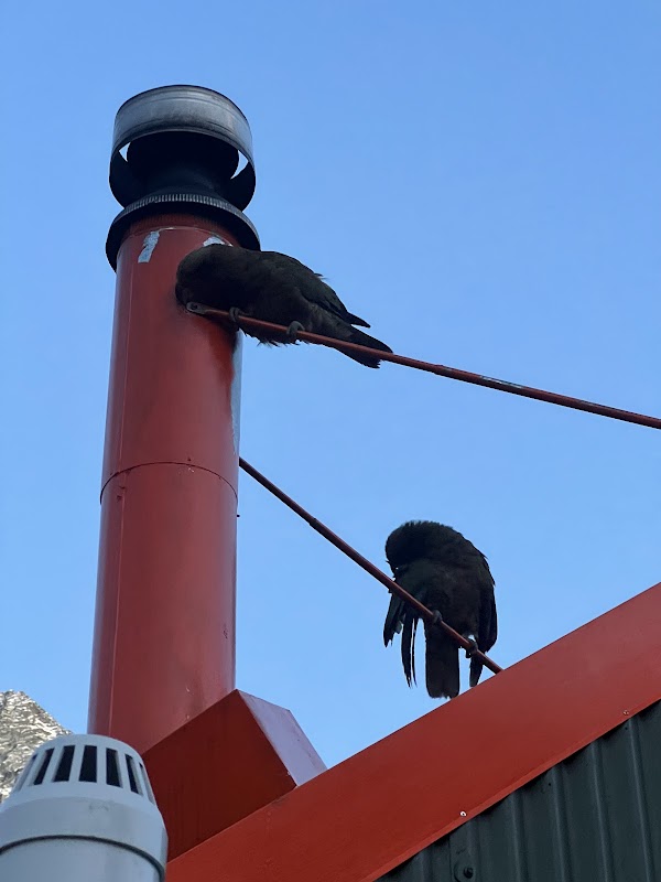 Hooker Hut 2