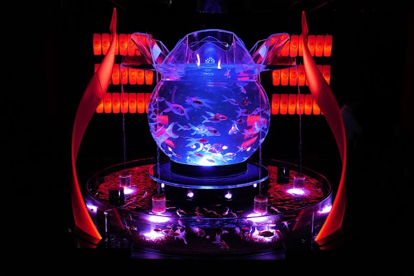 ART AQUARIUM MUSEUM 1