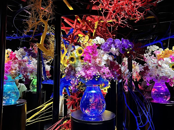 ART AQUARIUM MUSEUM 5