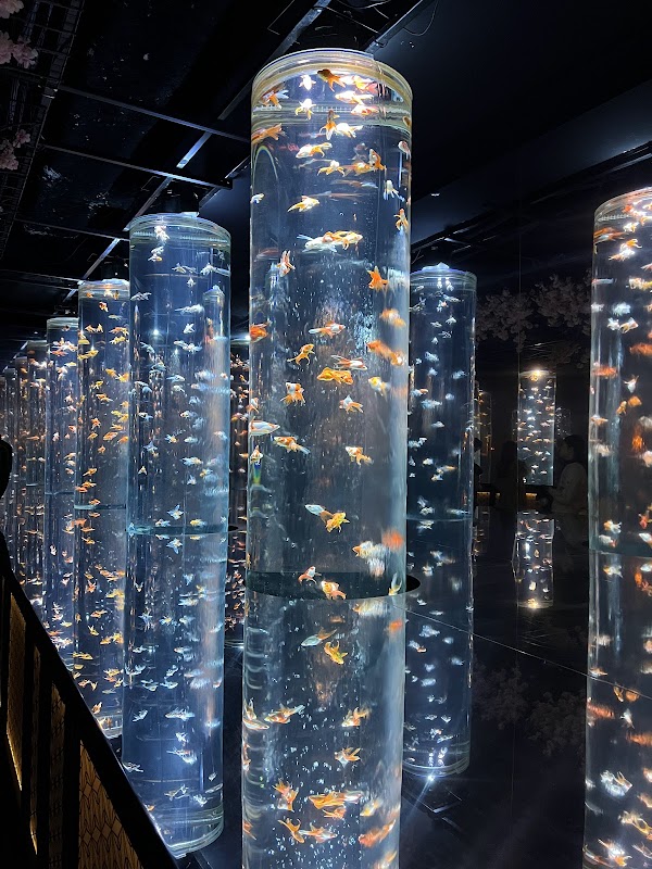 ART AQUARIUM MUSEUM 4