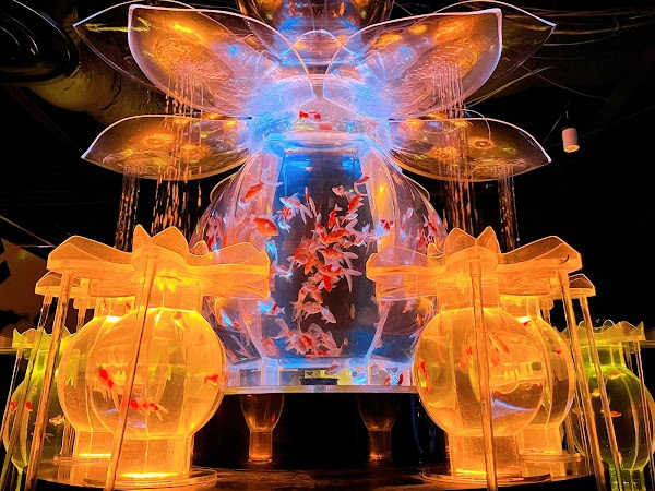 ART AQUARIUM MUSEUM 3