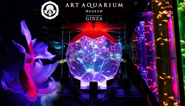 ART AQUARIUM MUSEUM 2