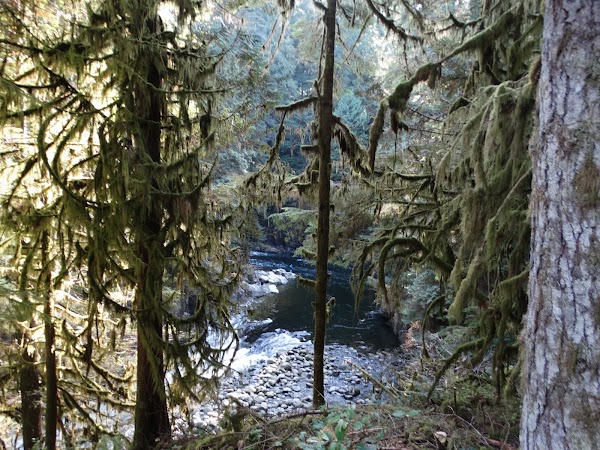 Capilano River 5