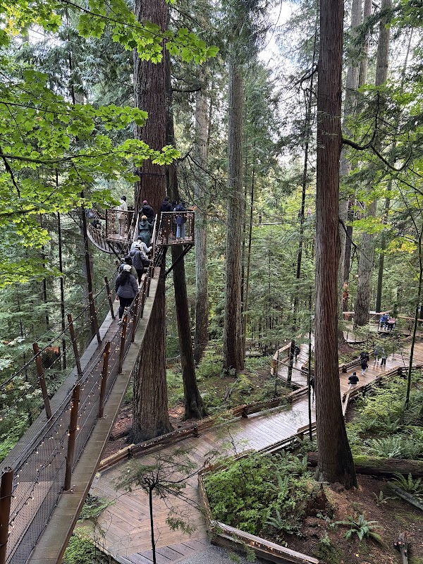 Capilano River 4