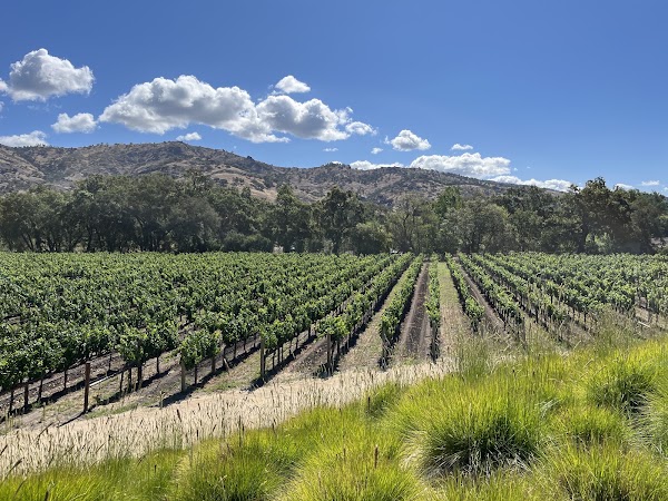 Stag's Leap Wine Cellars 2