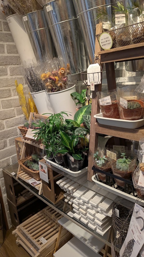 NATURAL KITCHEN & 4