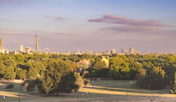Primrose Hill 5