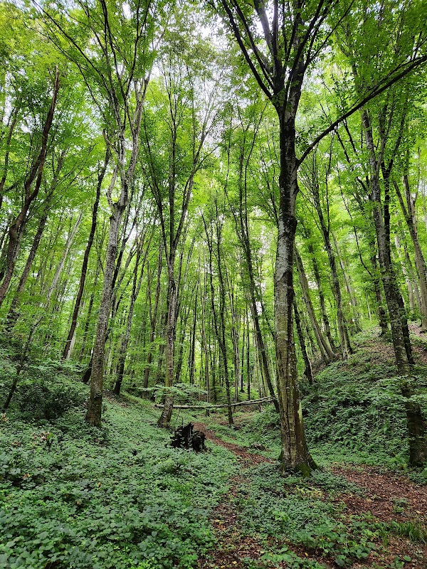 Ayvat Bendi Nature Park 2