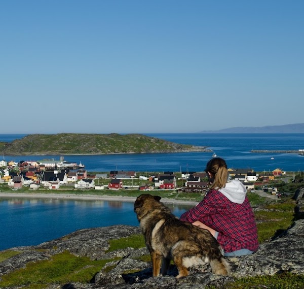Visit Bugøynes - Beds, Boats, Bistro, Safaris & Sauna 1