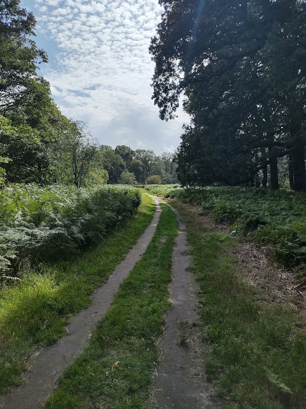Buitenplaats Leyduin 5