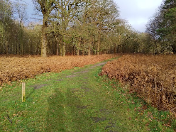 Buitenplaats Leyduin 3