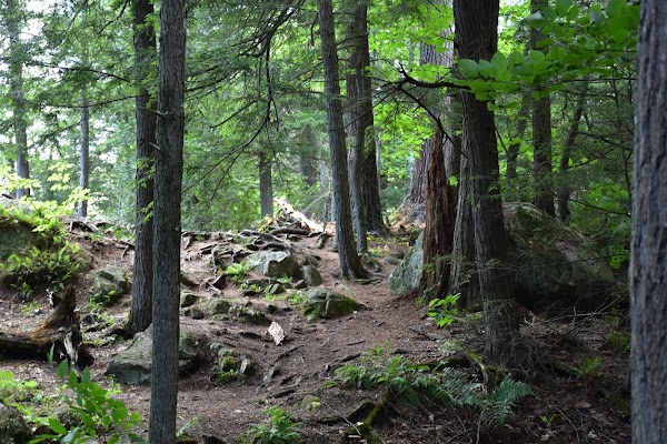 Split Rock Falls 3