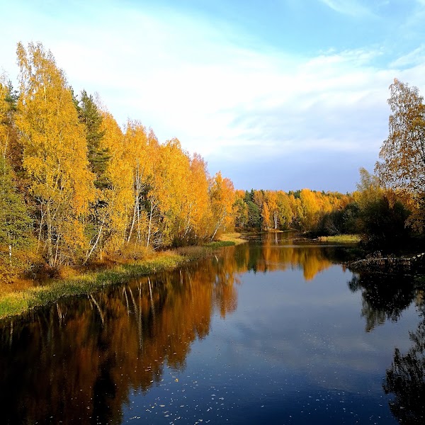 Rannapungerja