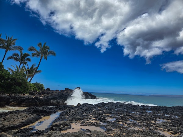 Paako Cove 1
