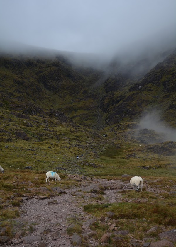 Carrauntoohil 3