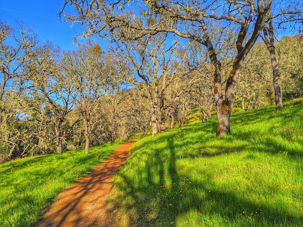 Three Bridges Oak Preserve Trailhead 4