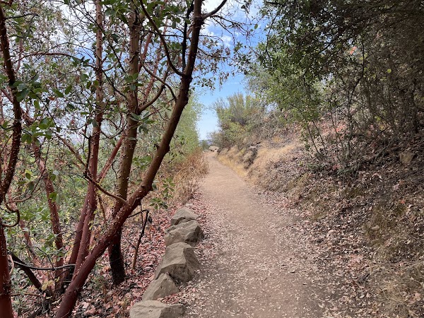 Three Bridges Oak Preserve Trailhead 3
