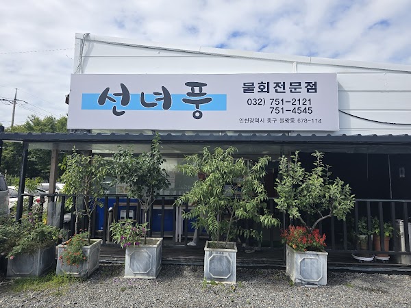 Seonnyeopung 1