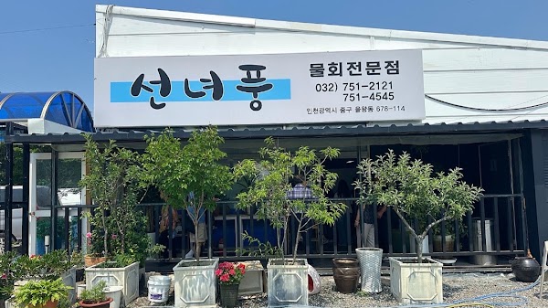 Seonnyeopung 2